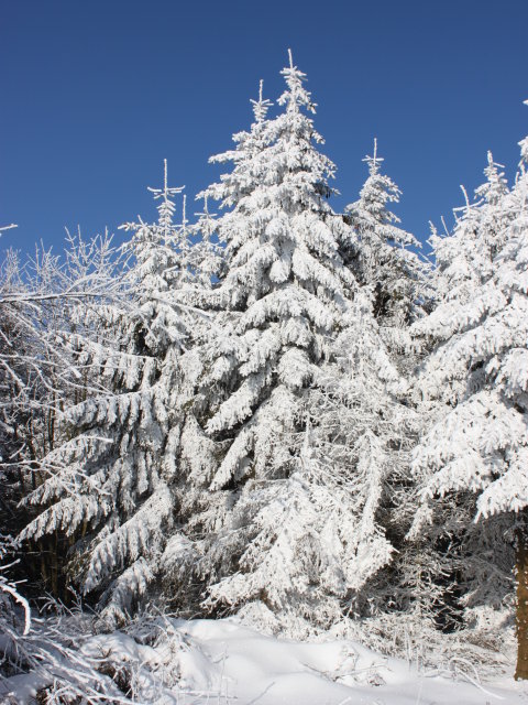 Winter in der Rhn