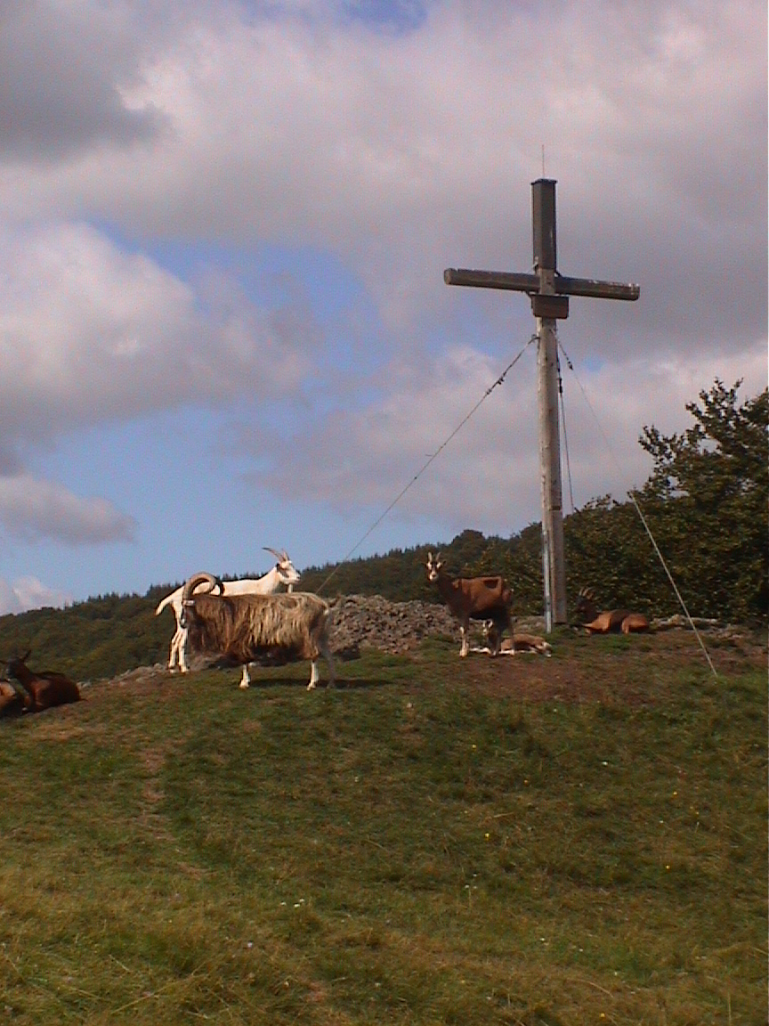 Rockenstein